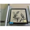 Image 1 : Framed limited edition native print by Delvis