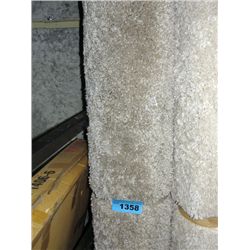 Off white shag area rug