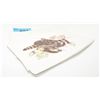 Image 1 : Large lot of assorted animal prints