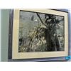 Image 1 : Framed Print by Colin Bogle