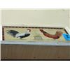 Image 1 : Framed cookadoodledo 2 roosters squaring off