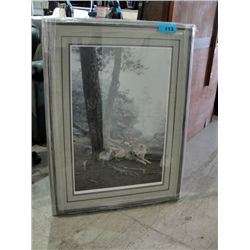 Framed LEP by Daniel Smith