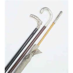 Walking stick