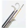 Image 1 : Walking stick