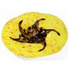 Image 1 : ART GLASS BOWL - UNIQUELY HAND CRAFTED