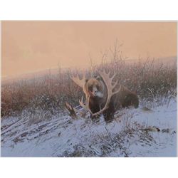 Color print by famed wildlife artist Michael  Coleman of a grizzly bear in snow with moose  rack app