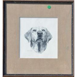 Excellent original pencil drawing of Golden  retriever by noted artist Herb  Strausser.  Used as ill