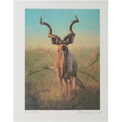 International Wildlife Foundation 1981  original hand signed and numbered (831/1500)  limited editio