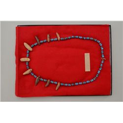Inuit Walrus tooth necklace with old padre  trade beads of red and blue; teeth gathered  by native p