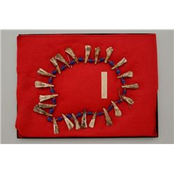 Northern Plains Sioux style Buffalo tooth  necklace with red and blue old trade beads in  protective