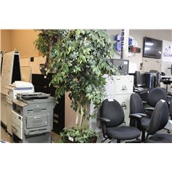 DECORATIVE SILK TREE