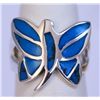Image 1 : 22.60 CTW TURQOUISE RING .925 STERLING SILVER