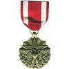 Image 1 : USA Meritorious Service Medal