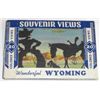 Image 1 : Souvenir Views "Wonderful Wyoming" very nice set of old cards picturing different natural wonders in