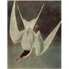 Image 1 : AUDUBON "COMMON TERN" - 1937 LITHOGRAPH