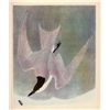 Image 1 : AUDUBON "GULL BILLED TERN" - 1937 LITHOGRAPH