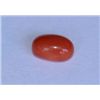 Red Coral 2.25 CTW Loose Gemstone