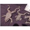 Image 2 : MAGNOLIA COMPLETE SET OF UNPAINTED STUNT TREE BULL FROG & BOTH TOADS SCREEN USED
