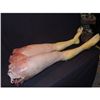 Image 1 : TORN IN HALF FEMALE LOWER BODY WITH LEGS & EXCELLENT GORE WITH SPINE SILICONE ANATOMICALLY CORRECT