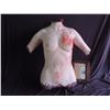 Image 1 : DRAWN AND QUARTERED FEMALE TORSO WITH BLOODY NECK ARMS & PELVIS DURABLE URETHANE FOAM
