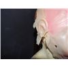 Image 2 : SILICONE OLD MAN FACE MASK TORN EAR