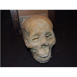 MUMMY MUMMIFIED HUMAN SKULL 1