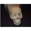 Image 1 : MUMMY MUMMIFIED HUMAN SKULL 1