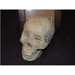 MUMMY MUMMIFIED HUMAN SKULL 2