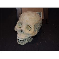 MUMMY MUMMIFIED HUMAN SKULL 3