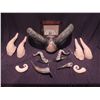 Image 1 : ALIEN DEMON OR DEVIL HORNS HUGE LOT OF 5 MATCHED SETS AND 2 ODD