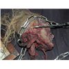 Image 2 : MARILYN MANSON STAGE SHOW PROP 2 SEVERED BLOODY BODY PARTS ON MEAT HOOKS