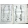 Image 1 : MONRO, Alexander.- Traité d'ostéologie. Où l'on a ajouté des planches en taille-douce, qui représent