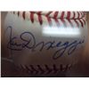 Image 2 : JOE DIMAGGIO SIGNED BASEBALL NO CERTIFICATE