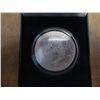 Image 2 : 1999 COLORIZED AMERICAN SILVER  EAGLE (UNC) AND