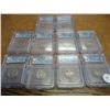 10 ASSORTED ICG BUFFALO NICKEL SLABS