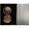 Image 1 : TUBE OF 20-1 OUNCE ADVP COPPER ROUNDS (MERCURY)