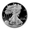 Image 1 : Proof Silver Eagle 2000-P