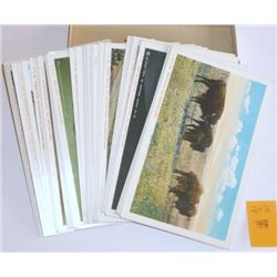 Old "Yellowstone National Park" , 3"x5" Color Postcards,  Very Nice Condition