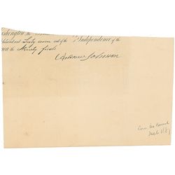 Andrew Johnson and Cabinet