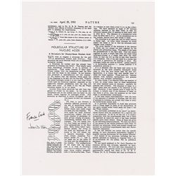 DNA: Watson and Crick