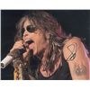 Image 2 : Aerosmith: Steven Tyler
