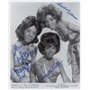 Image 1 : Martha and the Vandellas