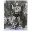 Image 1 : Steve Reeves