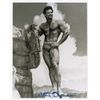 Image 2 : Steve Reeves