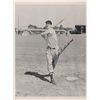 Image 1 : Ted Williams