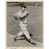 Image 1 : Ted Williams