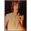 Image 1 : Mick Jagger