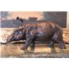 Image 5 : Magnificent Bronze Sculpture Hippopotamus Hippo