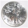 Image 1 : 1996 SILVER EAGLE 1oz FINE SILVER *KEY DATE SILVER EAGLE*!! EAGLE CAME OUT OF SAFE!!