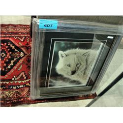 Framed LEP by Randy Fehr